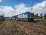 RUMO 9819